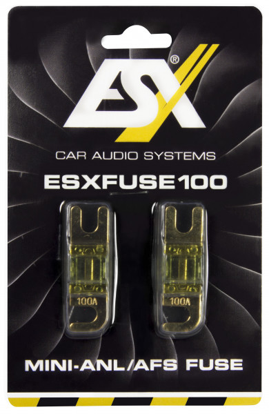 ESX 100 A Mini-ANL Sicherung FUSE100 (2 Stück)